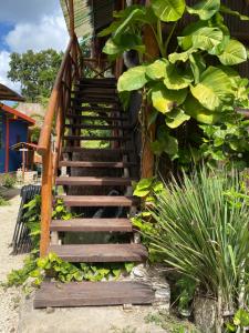 Gallery image of Malinche Cafe in Coba Tulum in Coba