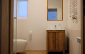 La salle de bains est pourvue de toilettes, d'un lavabo et d'un miroir. dans l'établissement Pająkówka Apartament I, à Kościelisko