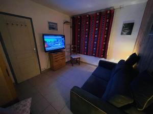 Televízia a/alebo spoločenská miestnosť v ubytovaní IDEAL MONTAGNE
