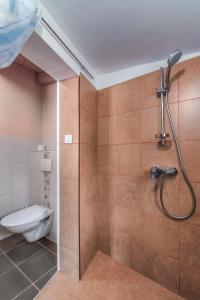 een badkamer met een douche en een toilet bij Istrian Tavern next to the Pool in Banjole
