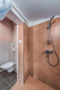 a bathroom with a shower and a toilet at Istrian Tavern next to the Pool in Banjole +7 photos