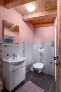 een badkamer met een wastafel en een toilet bij Istrian Tavern next to the Pool in Banjole