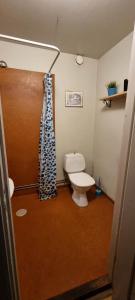 Ένα μπάνιο στο Hassela Vandrarhem