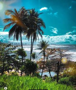a view of a beach with palm trees and the ocean at Casa temporada ilheus in Ilhéus