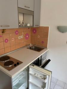 Kuchyň nebo kuchyňský kout v ubytování Apartman Jelačić