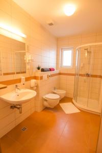 La salle de bains est pourvue de toilettes, d'un lavabo et d'une douche. dans l'établissement Hotel Bau Maribor, à Maribor