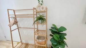 a shelf with plants on it next to a wall at Helena’s Studio Suite Gerik in Gerik