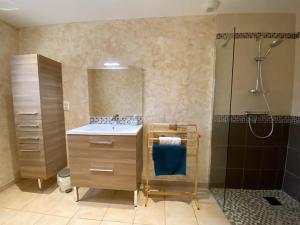 a bathroom with a sink and a shower at Gîte du Mercadal Les Pujols in Pamiers