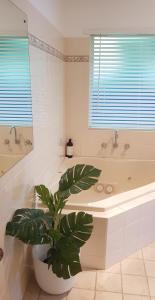a bathroom with a tub and a plant in it at Holiday Haus Hahndorf - 4BR, Garden and Parking in Hahndorf
