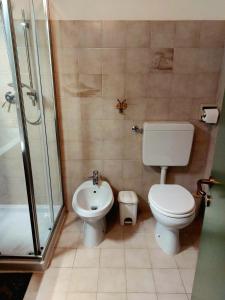 ein Bad mit einem WC, einer Dusche und einem Waschbecken in der Unterkunft Il Cirmolo delle Saline in Falcade