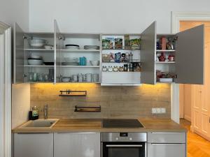 una cocina con armarios de acero inoxidable y fregadero en Luxury Apartment Neubaugasse, en Viena