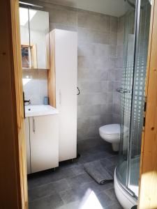 Mislinja的住宿－Valle Divina，浴室配有卫生间、盥洗盆和淋浴。