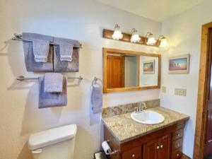 a bathroom with a sink and a toilet and a mirror at Yosemite's Scenic Wonders - 6BR/4BA Tri-Level Home in Yosemite West