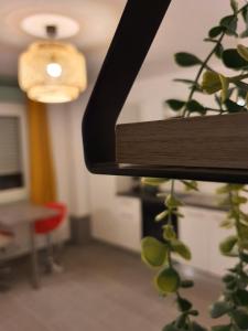 Fotografia z galérie ubytovania CocooningSpace tout équipé + parking privé v destinácii Mulhouse