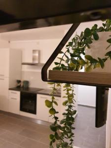 Kuchyňa alebo kuchynka v ubytovaní CocooningSpace tout équipé + parking privé