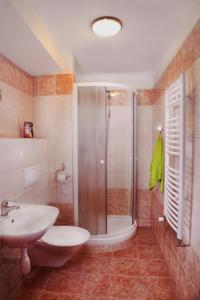 a bathroom with a shower and a toilet and a sink at Hotel Pod Stráží in Lhenice