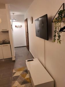 Televízia a/alebo spoločenská miestnosť v ubytovaní CocooningSpace tout équipé + parking privé