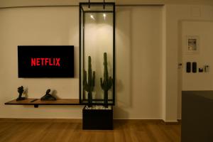TV a/nebo společenská místnost v ubytování Luxury Downtown Apartment C2