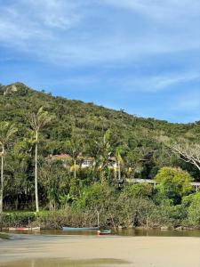 a view of a hill with palm trees and a river at Moradas Dona Dalcema in Guarda do Embaú