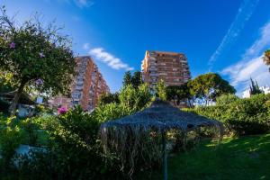 Zahrada ubytování Studio Acuario Benalmadena