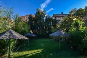 Zahrada ubytování Studio Acuario Benalmadena