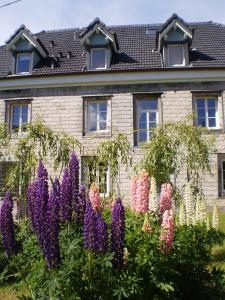 een bloementuin voor een gebouw bij Chambres d'Hôtes le Clos des Lesses in Fresse-sur-Moselle