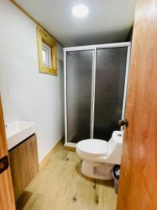 a bathroom with a toilet and a glass shower at Cabaña coyhaique in Coihaique