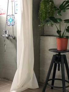Zozola في هنغتشون أولد تاون: ستارة الحمام بجانب طاولة بها نباتات