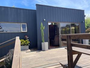 a cactus on the deck of a tiny house at Cabañas y Lodges de Playa Ritoque RITOKAZO in Quintero +48 photos