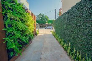 a hallway of a building with a green hedge at Suítes Novas no Coração de Bonito in Bonito +6 photos