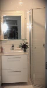 uma casa de banho com um lavatório e um chuveiro com um espelho. em Byron Marvell em Byron Bay