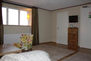 a living room with a chair and a television at Hotel Borrby in Borrby