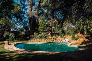 een zwembad in een tuin met bomen bij Farm stay at Saffron Cottage on Haldon Estate in Bloemfontein