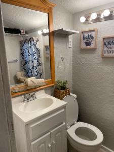Un baño con inodoro, lavabo y espejo. en Downtown Heaven, en San Antonio 18 fotos más