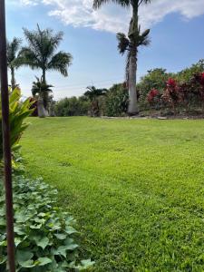 a field of grass with palm trees in the background at Hawaii Private Studio in Holualoa