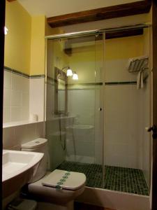 a bathroom with a shower and a toilet and a sink at Hotel Albarrán in Albarracín