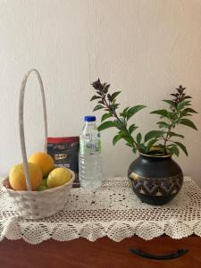 une table avec un bol de fruits et une plante en pot dans l'établissement Rahel’s Home, à Beer-Sheva