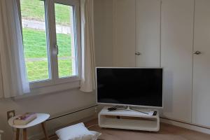 Una televisión o centro de entretenimiento en flueli holiday home urnaesch