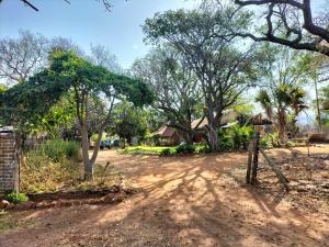 un camino de tierra con árboles y una casa en el fondo en BLESSINGS Sleep Over, en Mokopane