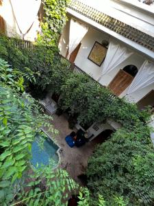 widok na dom z roślinami rosnącymi wokół niego w obiekcie Riad Le Coq Berbère w Marakeszu
