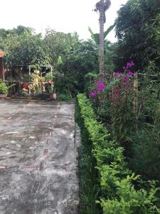 um jardim com flores roxas e um parque de estacionamento em Nhà Nghỉ Bình Dân Xanh em Bắc Quang