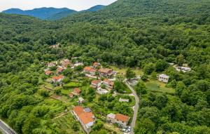 Príroda v okolí vily