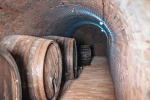 Mynd úr myndasafni af Winzerhof Küssler - Weinviertel í Stillfried