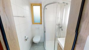 Un baño con ducha, inodoro y lavabo. en Tschuggen 11, en Blatten bei Naters 17 fotos más