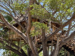 Fotografie z fotogalerie ubytování Antonio Beach Tree House Hotel & Spa v destinaci Uroa