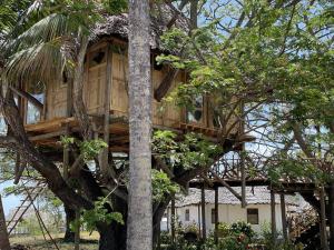 Zahrada ubytování Antonio Beach Tree House Hotel & Spa