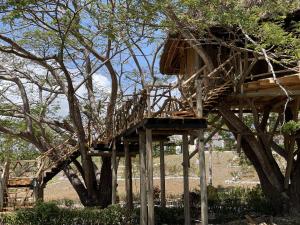 Fotografie z fotogalerie ubytování Antonio Beach Tree House Hotel & Spa v destinaci Uroa