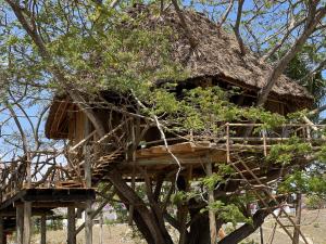 Fotografie z fotogalerie ubytování Antonio Beach Tree House Hotel & Spa v destinaci Uroa