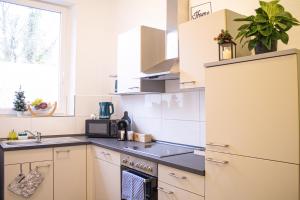 cocina con nevera y fregadero en Exklusives Apartment für 1 bis 3 Personen en Solingen