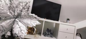 Imagine din galeria proprietății Divcibare As apartmani în Divčibare